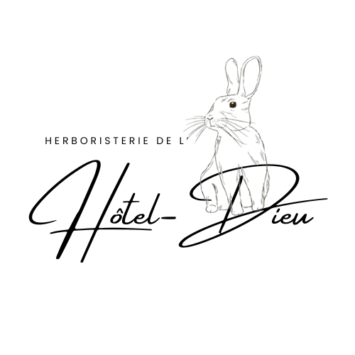 logo_hoteldieu