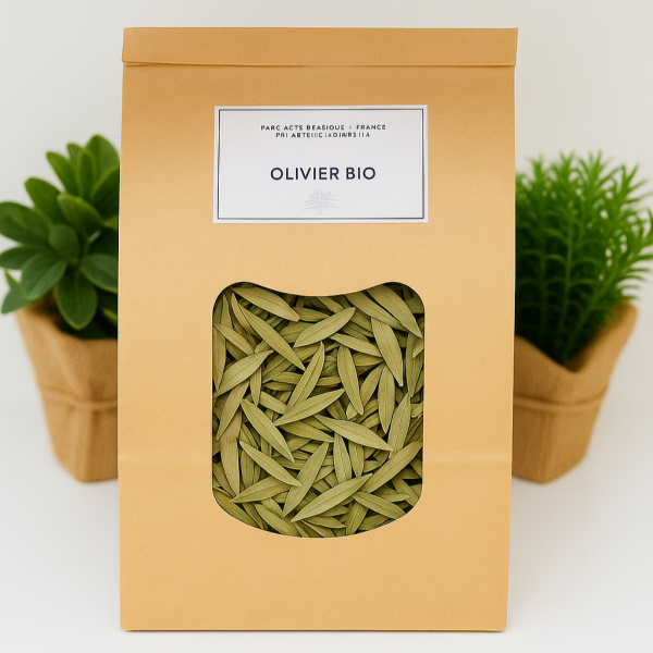 🌿 Tisane Olivier - 100g