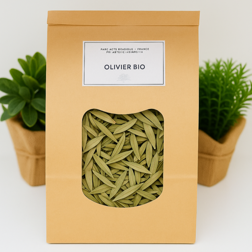 🌿 Tisane Olivier - 100g